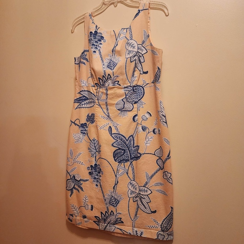 Ultra Dress New York Lined Dress 8
